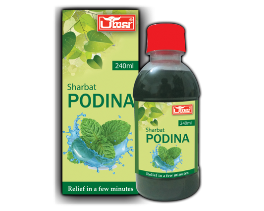 Sharbat Podina 240ml